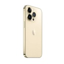 IPHSGA13POR256A2483-1