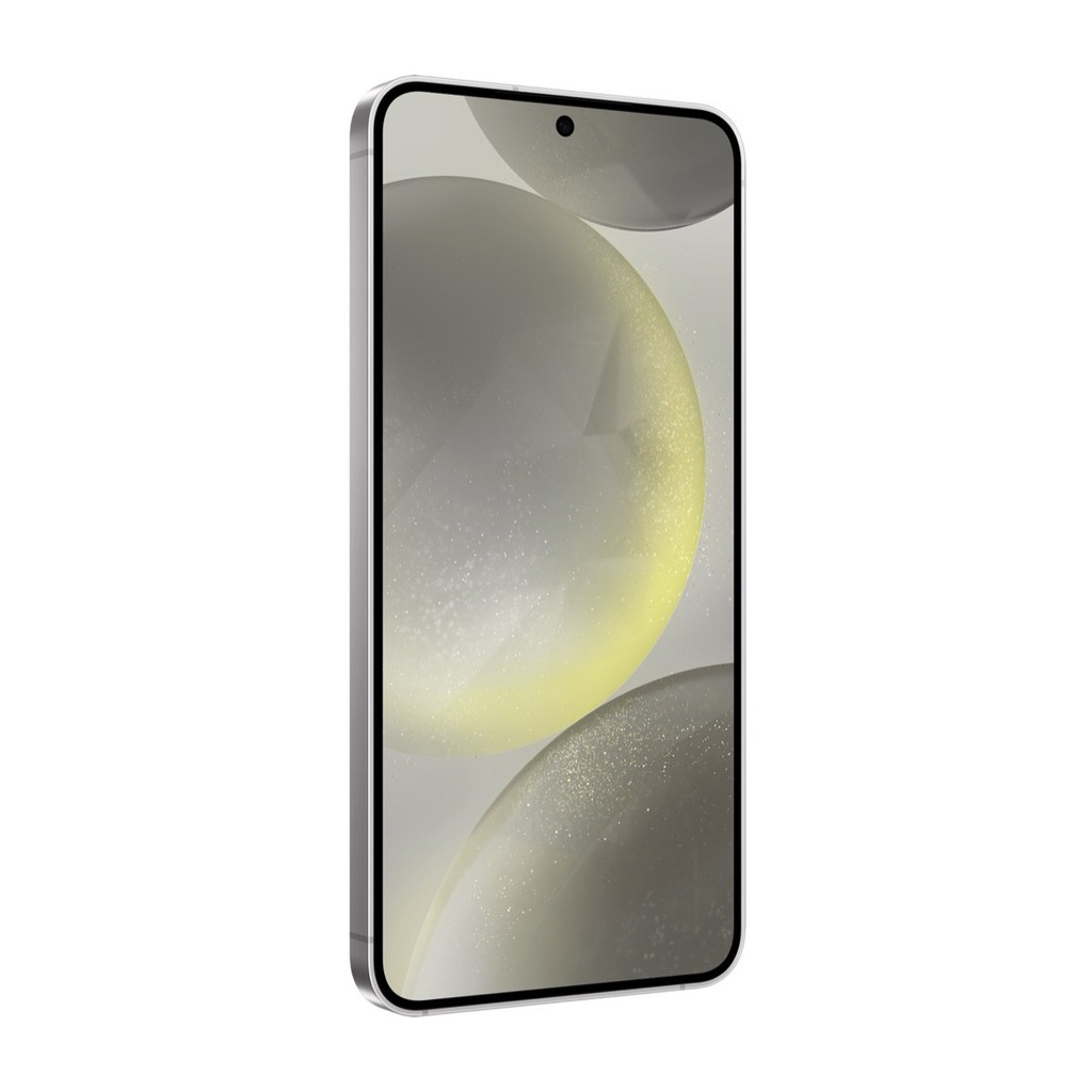 GS24SGAPLA128S921-2